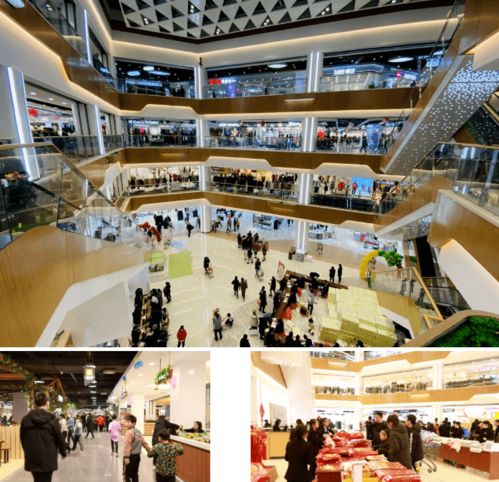 榮耀啟航 慶云開(kāi)啟商貿(mào)集群發(fā)展新時(shí)代