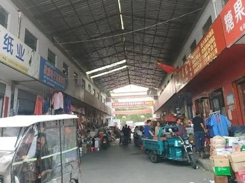 現場實拍曝光 龍達 仲景商貿城真的要來了