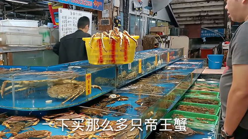湛江海鮮市場(chǎng) 土豪揮金如土，帝王蟹成消費(fèi)新寵