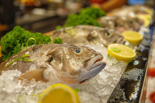 鱈魚(yú)與海鮮批發(fā) 洞察與攝影的魅力