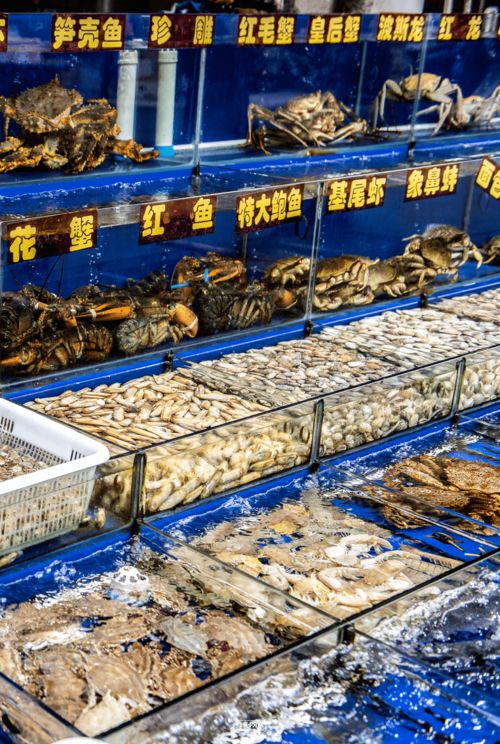 探訪上海最大海鮮市場 海鮮批發價格究竟多便宜？