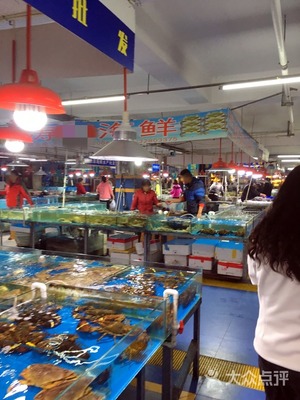 東豪酒店俊曦海鮮水產批發 品質與服務的雙重保障