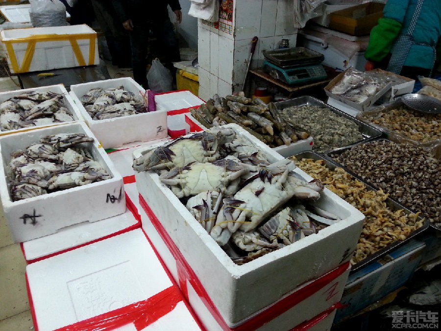 探尋大慶站前海鮮批發市場 海鮮批發的鮮活盛宴