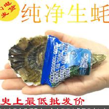 冷凍海鮮水產(chǎn)貝類 價(jià)格趨勢(shì)、批發(fā)渠道、廠家甄選與產(chǎn)品大全