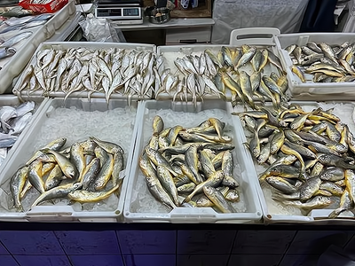 活魚批發(fā)市場進(jìn)貨渠道全解析 海鮮批發(fā)商與餐飲經(jīng)營者的實(shí)用指南