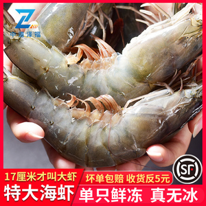 鮮海鮮圖片大全 從源頭到餐桌的海鮮批發(fā)指南