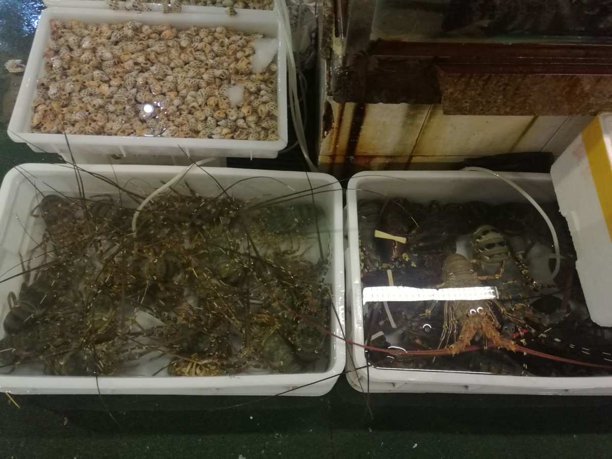 廣東省湛江市海鮮批發(fā)市場價(jià)格解析 45元/斤背后的行業(yè)動態(tài)